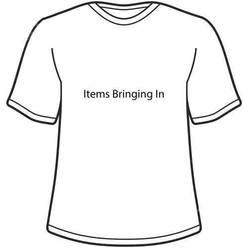 Item Bringing In image thumbnail