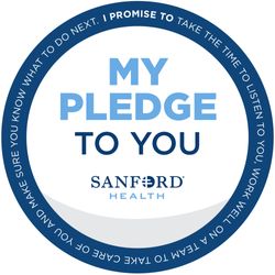 Image of PLEDGE 3” Semi-Glossy Sticker Singles