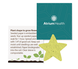 Image of Seeded Paper Pack