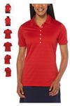 Salsa Red