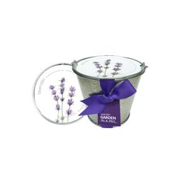 Image of Garden in a Pail