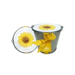 Image of Garden in a Pail