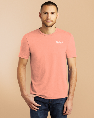 District Perfect Tri Tee image thumbnail