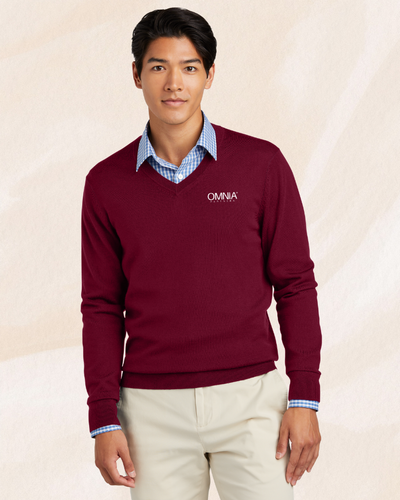 Brooks Brothers ® Washable Merino V-Neck Sweater image thumbnail
