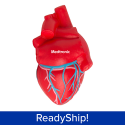 Image of Pack of 10 Anatomical Heart Stress Reliever