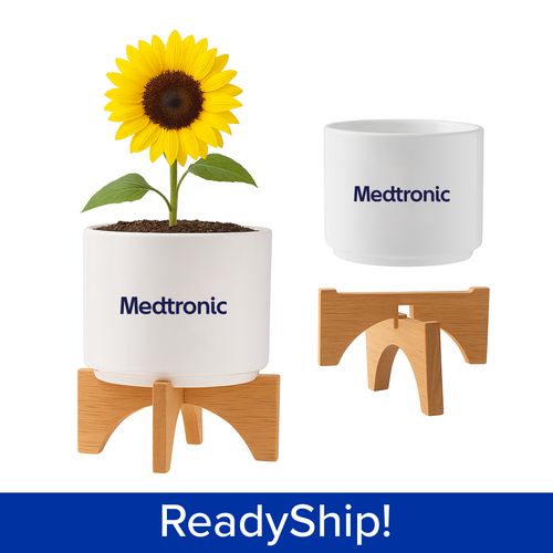 Desk Sunflower Blooming Kit image thumbnail