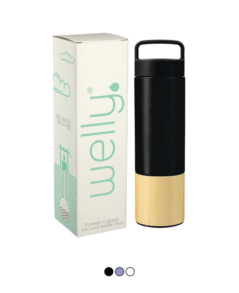 18oz Welly Traveler Copper Vacuum Bottle primary image