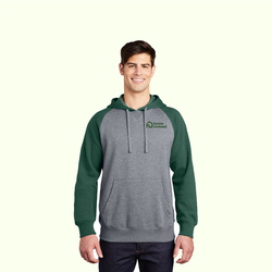 Image of Sport-Tek® Raglan Colorblock Pullover Hooded Sweatshirt