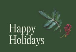 Image of Holiday Greeting Cards - Bundle of 50