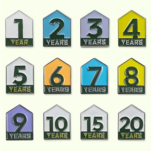 Lapel Pin - Years of Service image thumbnail