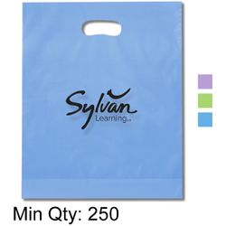 Image of Convention Bag 15x12