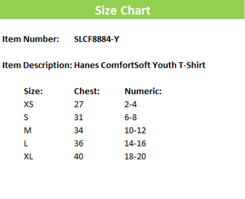 Hanes ComfortSoft Youth T-Shirt image thumbnail