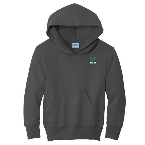 Port & Company Youth Core Fleece Pullover Hooded Sweatshirt image thumbnail