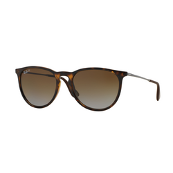 Image of Ray-Ban Women's Polarized Erika Sunglasses