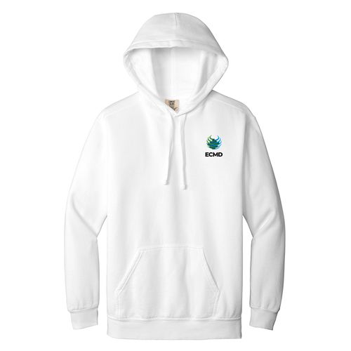 COMFORT COLORS Ring Spun Hooded Sweatshirt image thumbnail