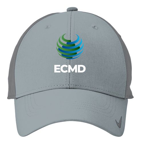 Nike Dri-FIT Legacy Cap image thumbnail