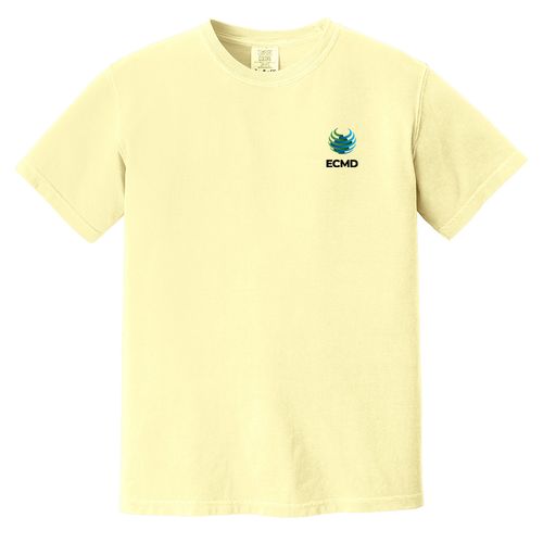 Comfort Colors Garment-Dyed Heavyweight T-Shirt image thumbnail