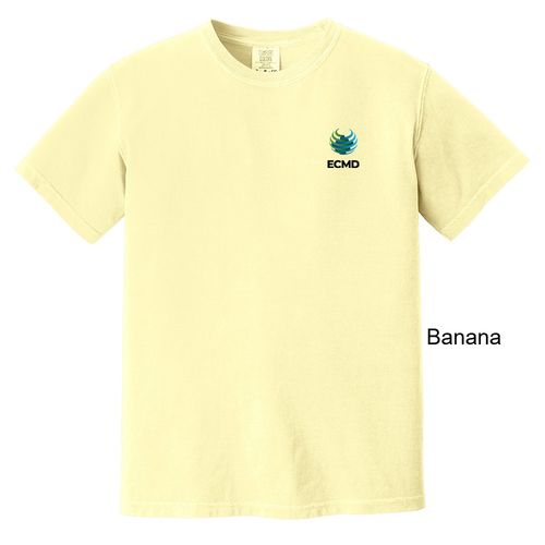 Comfort Colors Garment-Dyed Heavyweight T-Shirt image thumbnail