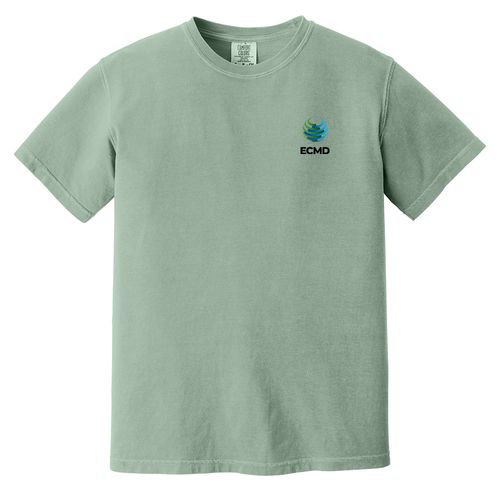 Comfort Colors Garment-Dyed Heavyweight T-Shirt image thumbnail