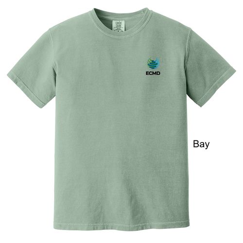 Comfort Colors Garment-Dyed Heavyweight T-Shirt image thumbnail