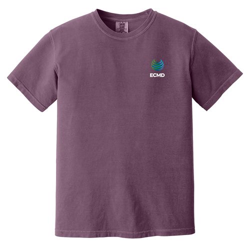 Comfort Colors Garment-Dyed Heavyweight T-Shirt image thumbnail