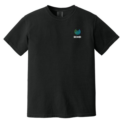 Comfort Colors Garment-Dyed Heavyweight T-Shirt image thumbnail