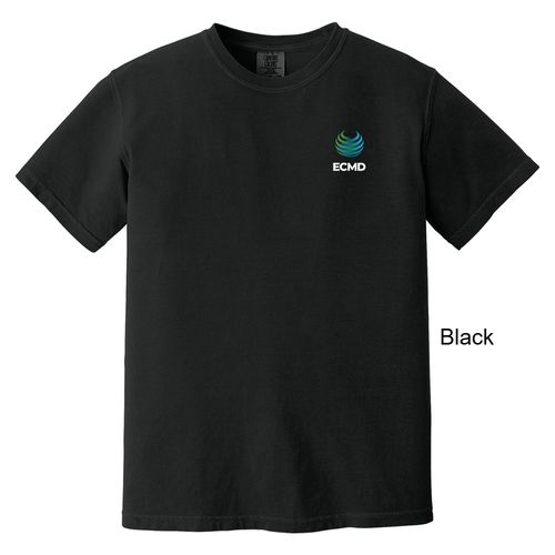 Comfort Colors Garment-Dyed Heavyweight T-Shirt image thumbnail