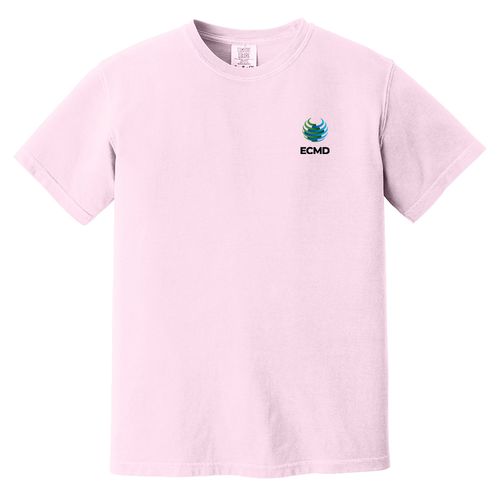 Comfort Colors Garment-Dyed Heavyweight T-Shirt image thumbnail