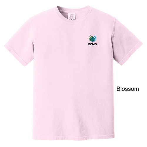 Comfort Colors Garment-Dyed Heavyweight T-Shirt image thumbnail