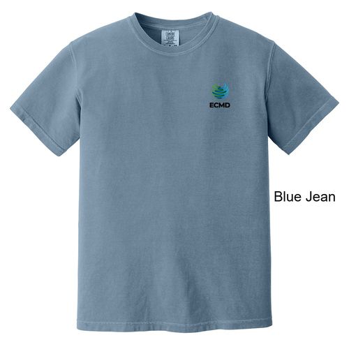 Comfort Colors Garment-Dyed Heavyweight T-Shirt image thumbnail