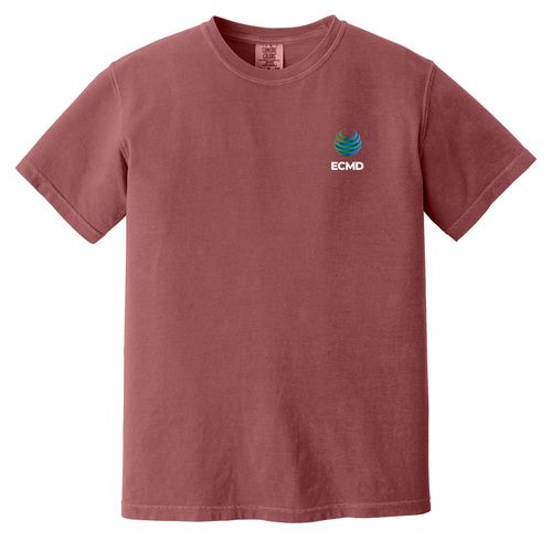 Comfort Colors Garment-Dyed Heavyweight T-Shirt image thumbnail