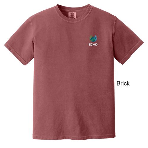Comfort Colors Garment-Dyed Heavyweight T-Shirt image thumbnail