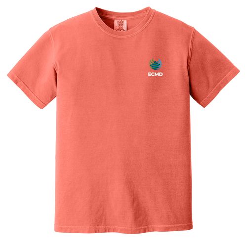 Comfort Colors Garment-Dyed Heavyweight T-Shirt image thumbnail