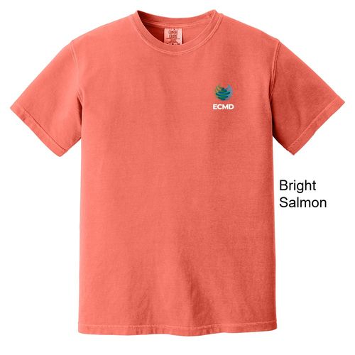 Comfort Colors Garment-Dyed Heavyweight T-Shirt image thumbnail