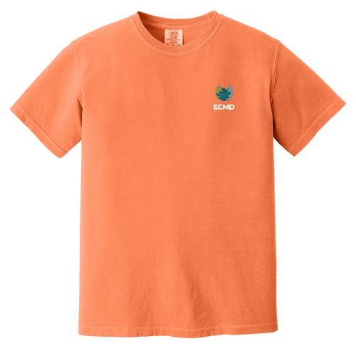 Comfort Colors Garment-Dyed Heavyweight T-Shirt image thumbnail
