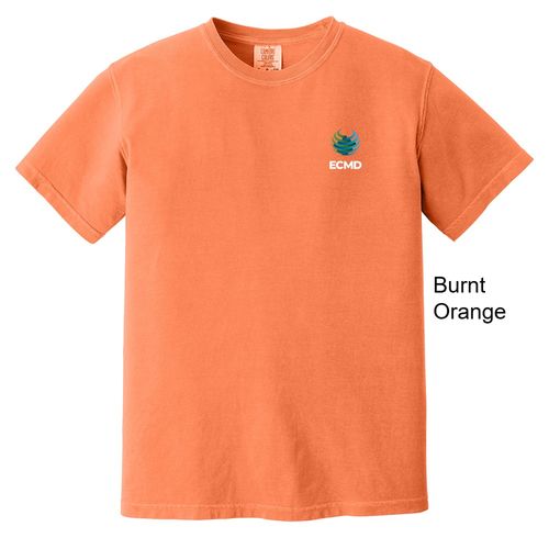 Comfort Colors Garment-Dyed Heavyweight T-Shirt image thumbnail