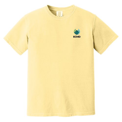 Comfort Colors Garment-Dyed Heavyweight T-Shirt image thumbnail