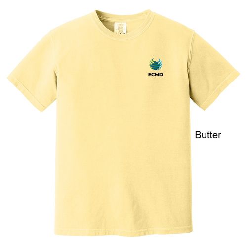 Comfort Colors Garment-Dyed Heavyweight T-Shirt image thumbnail