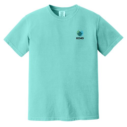 Comfort Colors Garment-Dyed Heavyweight T-Shirt image thumbnail