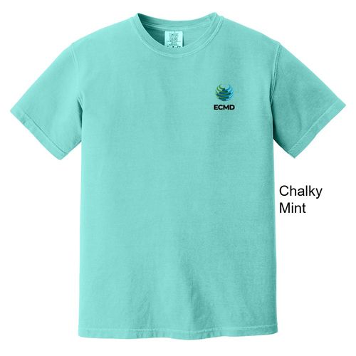 Comfort Colors Garment-Dyed Heavyweight T-Shirt image thumbnail