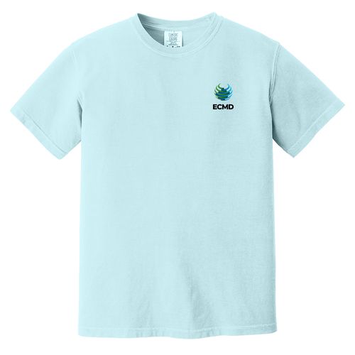 Comfort Colors Garment-Dyed Heavyweight T-Shirt image thumbnail