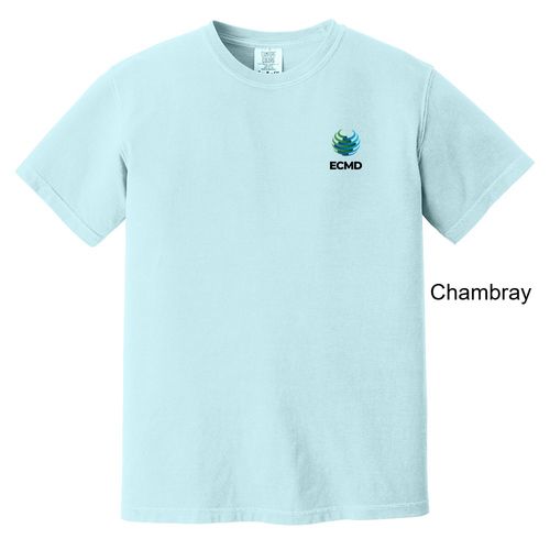 Comfort Colors Garment-Dyed Heavyweight T-Shirt image thumbnail