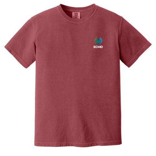 Comfort Colors Garment-Dyed Heavyweight T-Shirt image thumbnail