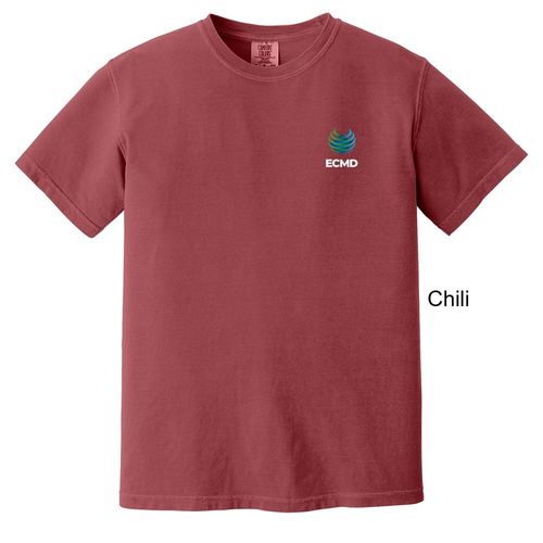 Comfort Colors Garment-Dyed Heavyweight T-Shirt image thumbnail