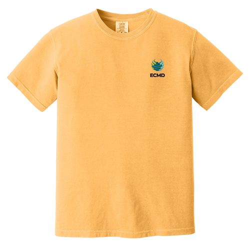 Comfort Colors Garment-Dyed Heavyweight T-Shirt image thumbnail