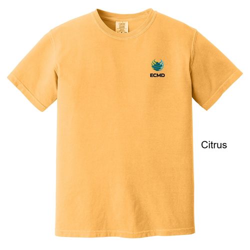 Comfort Colors Garment-Dyed Heavyweight T-Shirt image thumbnail