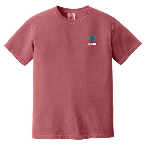 Comfort Colors Garment-Dyed Heavyweight T-Shirt image thumbnail