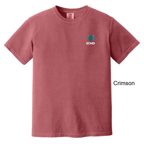 Comfort Colors Garment-Dyed Heavyweight T-Shirt image thumbnail