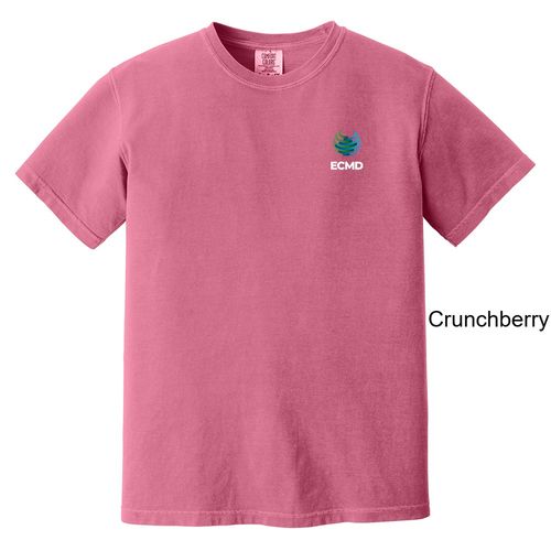 Comfort Colors Garment-Dyed Heavyweight T-Shirt image thumbnail