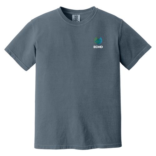 Comfort Colors Garment-Dyed Heavyweight T-Shirt image thumbnail